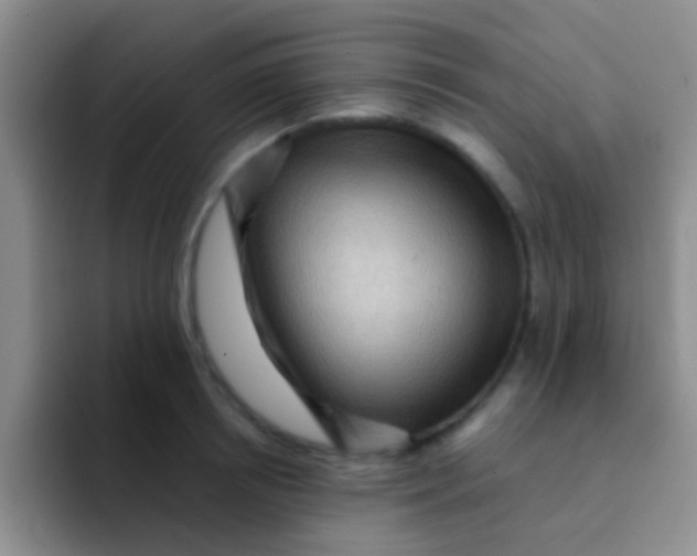 X0000091930850200709261913