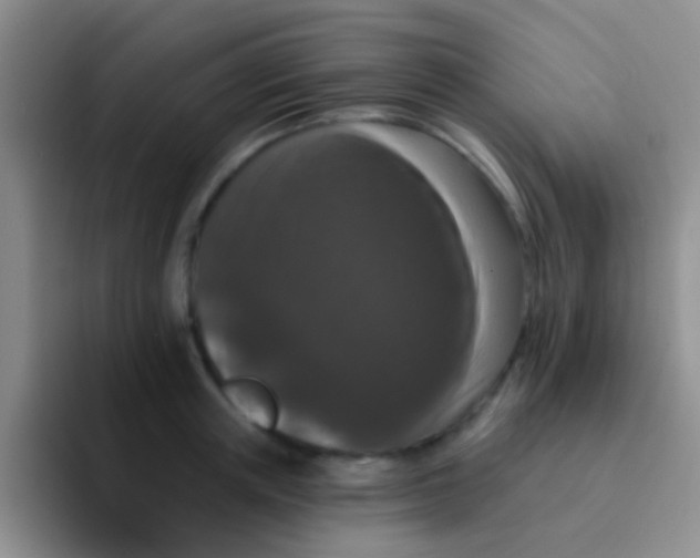 X0000091930851200709261913