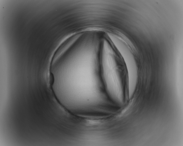 X0000091930852200709261913
