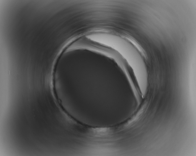 X0000091930853200709261913