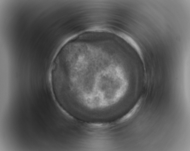 X0000091930855200709261913