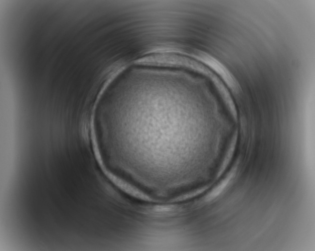 X0000091930857200709261913