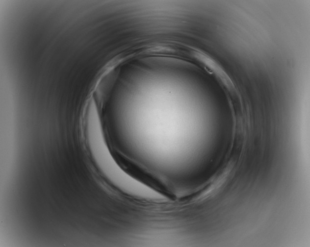 X0000091930858200709261913