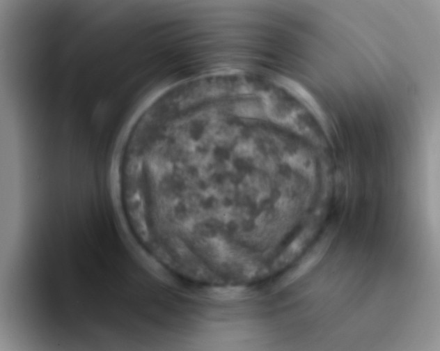 X0000091930859200709261913