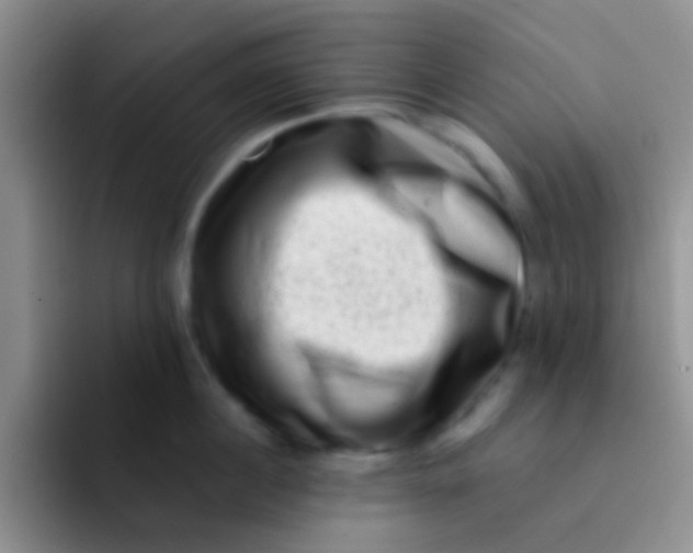 X0000091930860200709261913