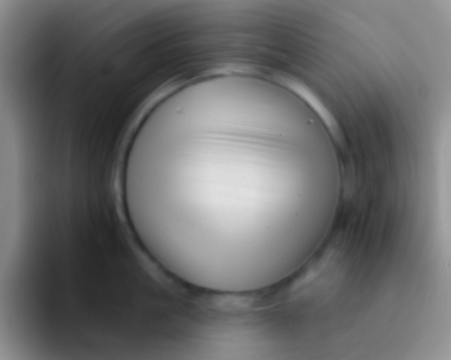 X0000091930861200709261913