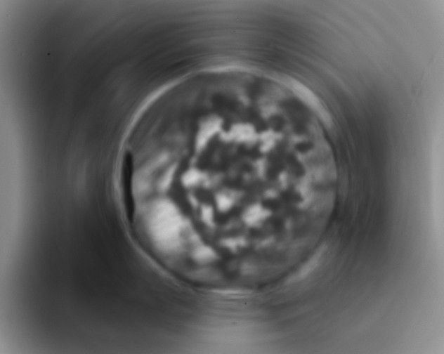 X0000091930863200709261913