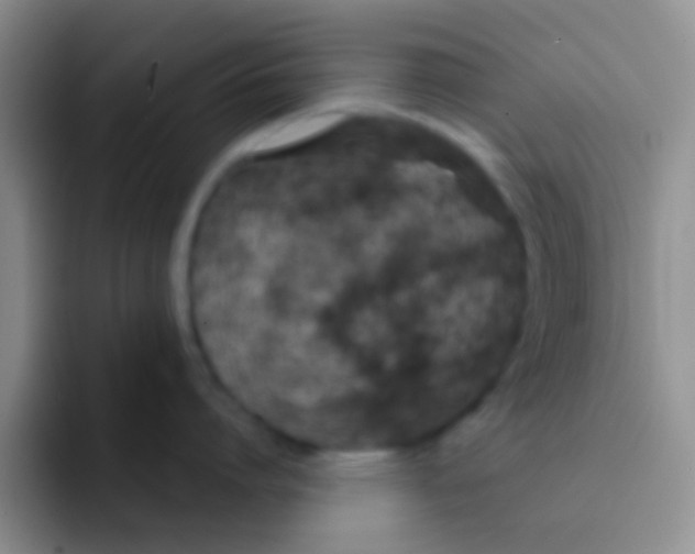 X0000091930864200709261913