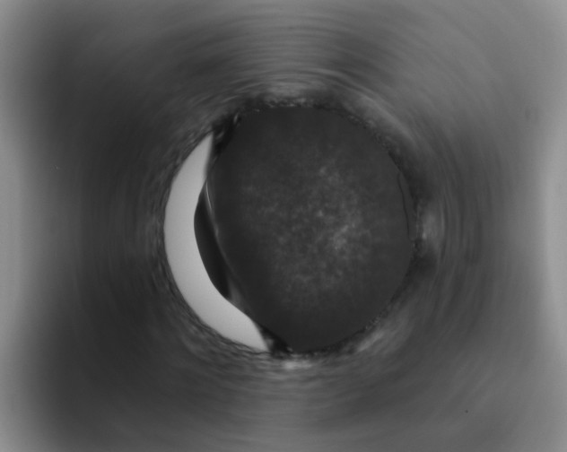 X0000091930868200709261912