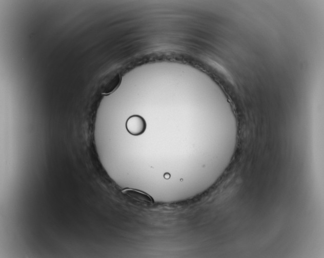 X0000091930869200709261912