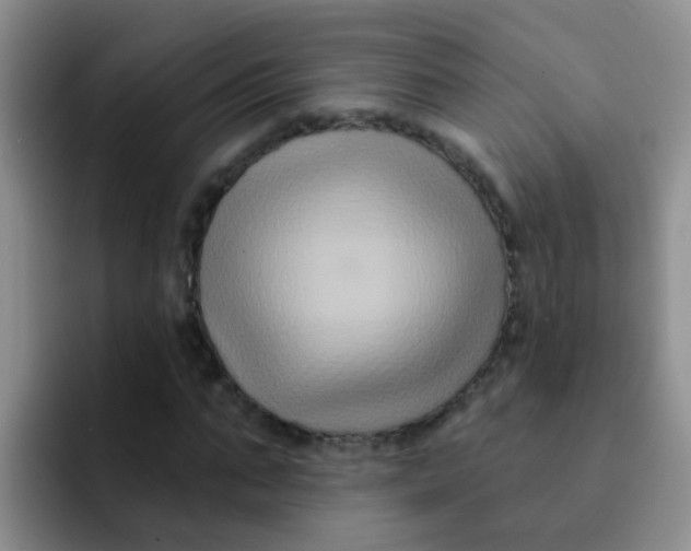 X0000091930871200709261912
