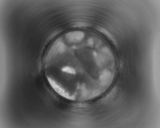 X0000091930874200709261912
