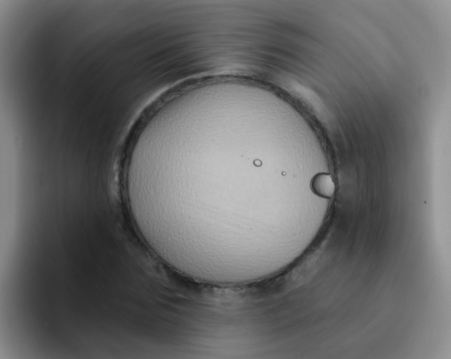 X0000091930875200709261912