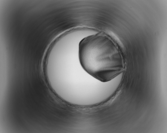 X0000091930876200709261912