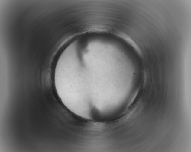 X0000091930878200709261912