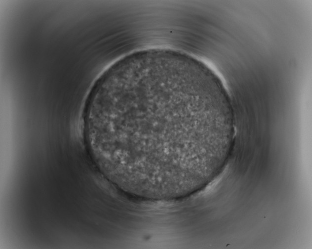 X0000091930879200709261912