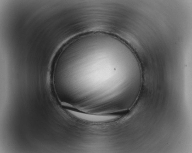 X0000091930880200709261912