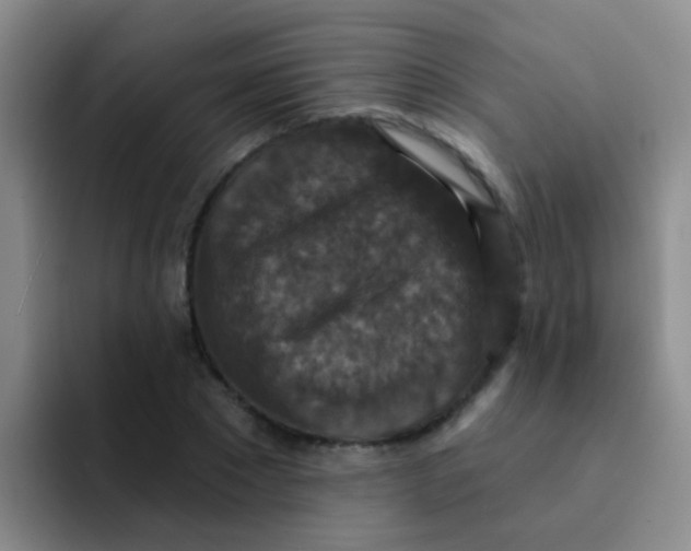 X0000091930881200709261912