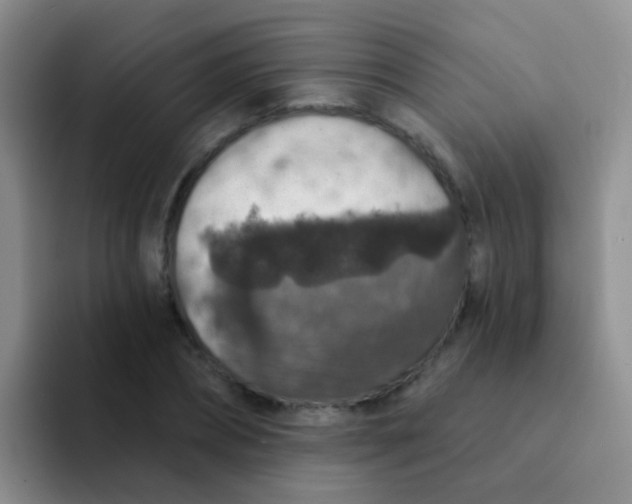 X0000091930882200709261912