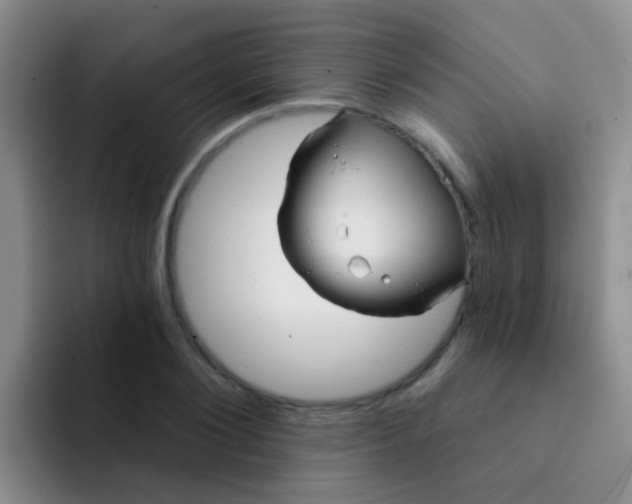 X0000091930884200709261912