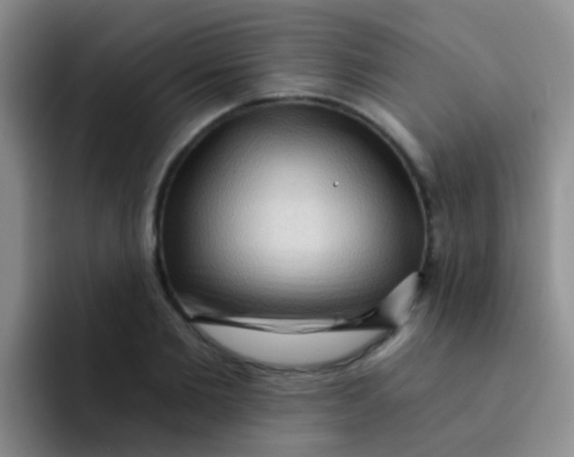 X0000091930885200709261912