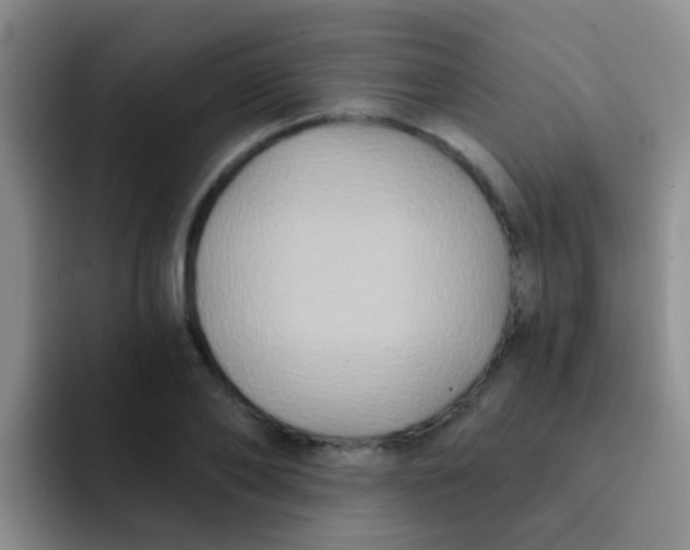 X0000091930886200709261912