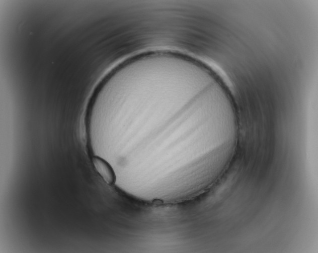 X0000091930887200709261912