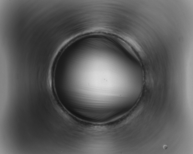 X0000091930888200709261912
