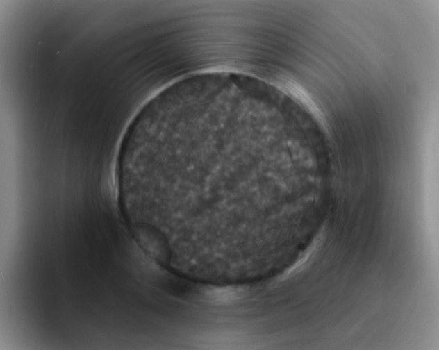 X0000091930892200709261912