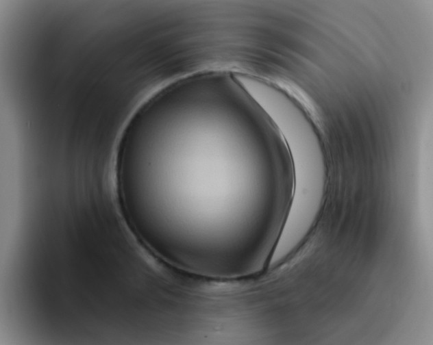 X0000091930894200709261912