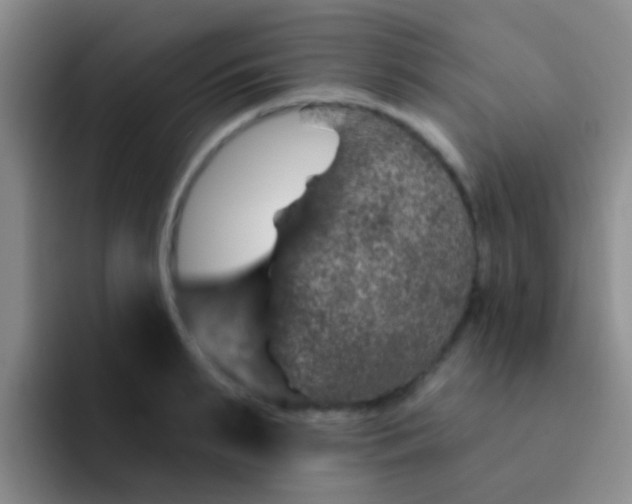 X0000091930895200709261912