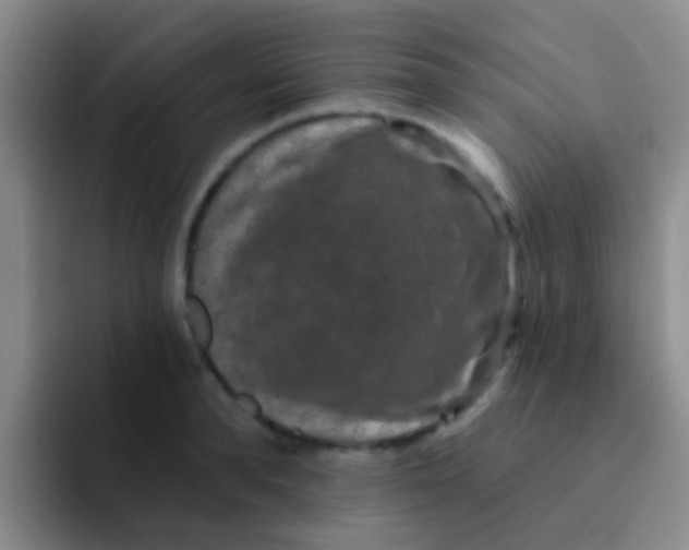 X0000091930896200709261912