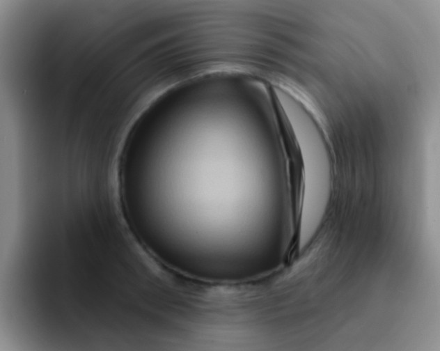 X0000091930898200709261912