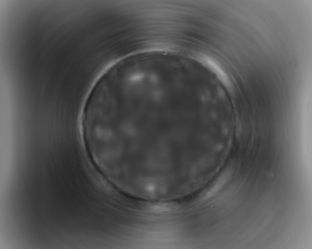 X0000091930899200709261912