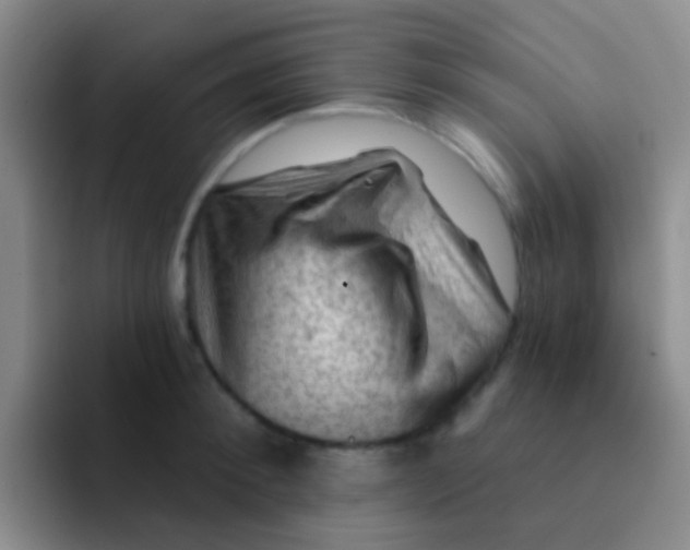 X0000091930900200709261912