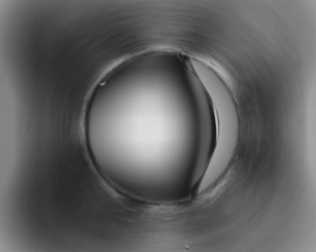 X0000091930902200709261912