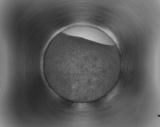 X0000091930903200709261912