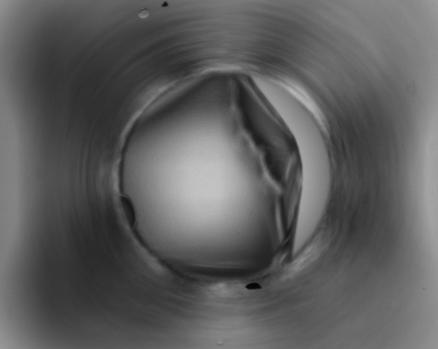 X0000091930906200709261912