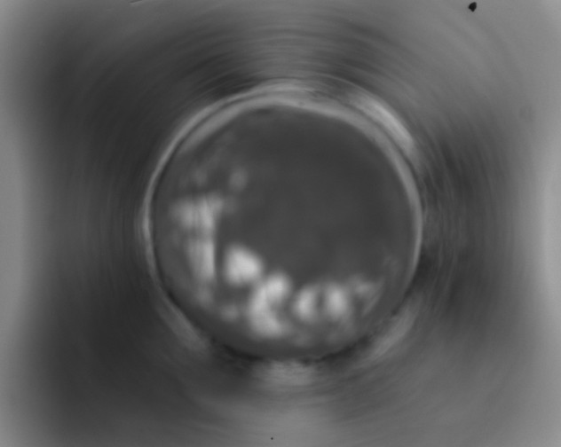X0000091930907200709261912