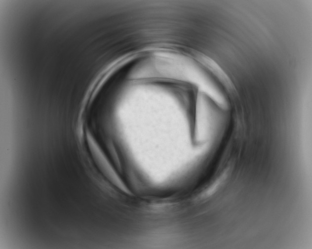 X0000091930908200709261912