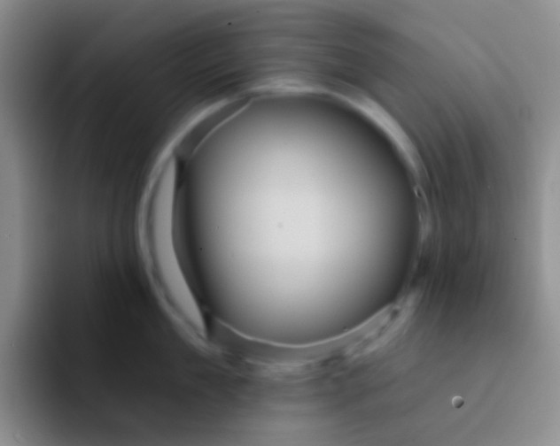 X0000091930909200709261912