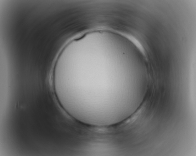 X0000091930911200709261912