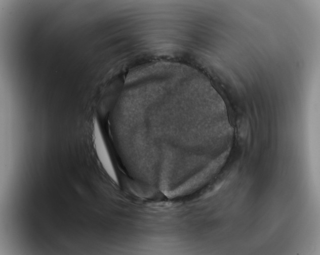 X0000091930916200709261911