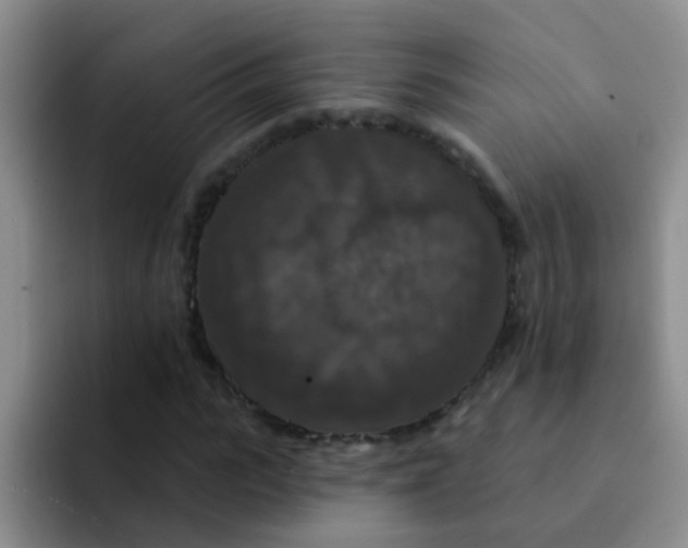 X0000091930919200709261911