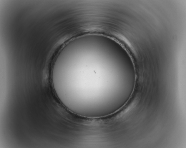 X0000091930922200709261911