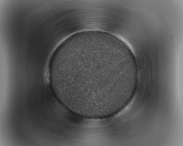 X0000091930925200709261911