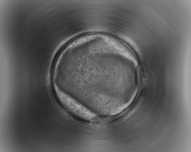 X0000091930928200709261911