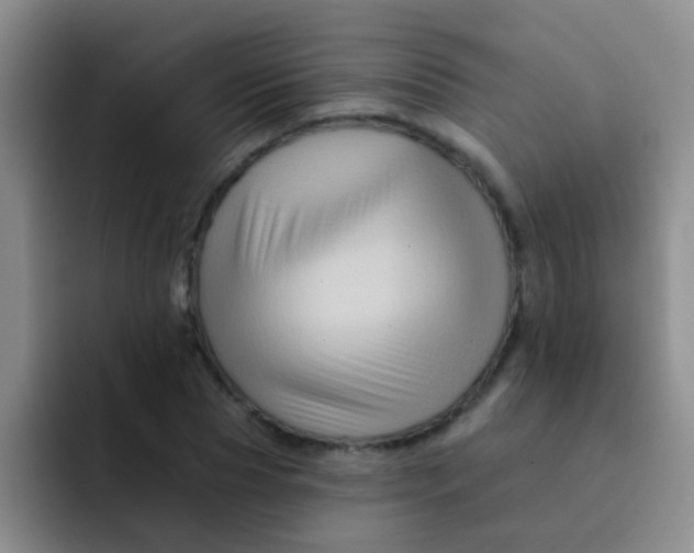 X0000091930929200709261911