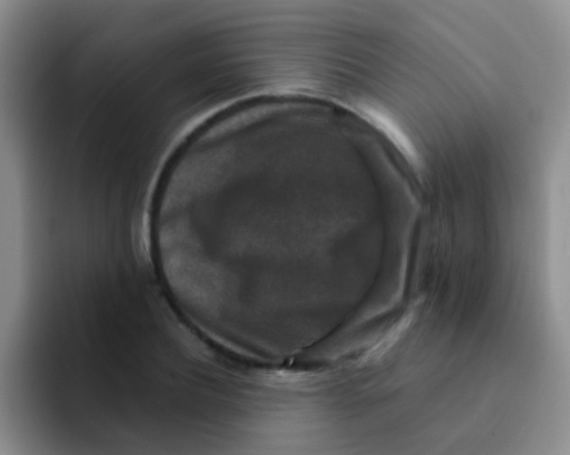 X0000091930932200709261911