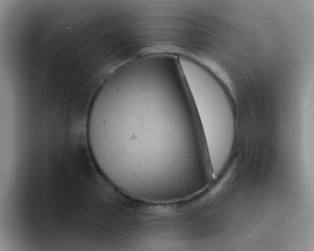 X0000091930937200709261911